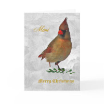 赤い(鳥)ショウジョウコウカンチョウの女性が雪の前からヒイラギ – -tw