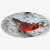 赤い（鳥）ショウジョウコウカンチョウの羽毛と羽毛 ペーパープレート (アングル)