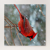 赤い（鳥）ショウジョウコウカンチョウの雪 ジグソーパズル (横)