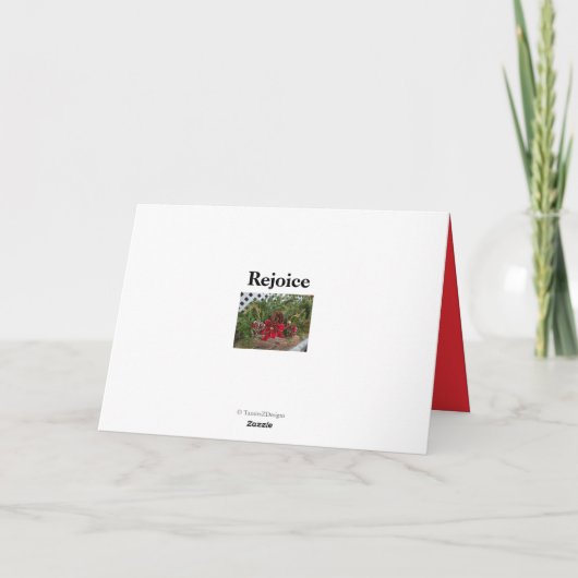 赤い(鳥)ショウジョウコウカンチョウの鳥が雪の季節の挨拶状 シーズンカード (裏面)