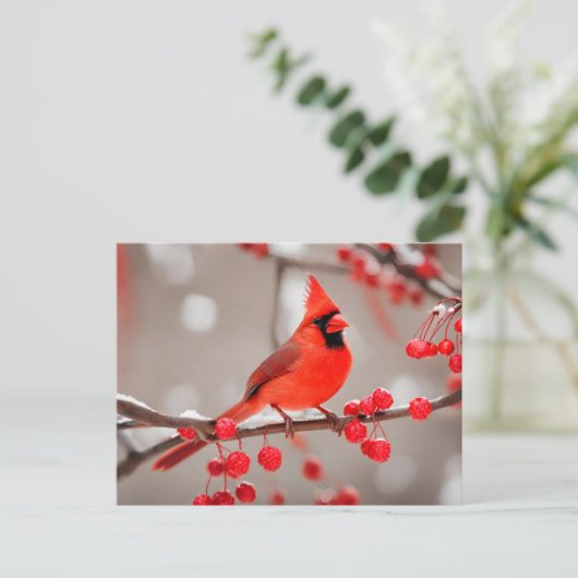 赤い(鳥)ショウジョウコウカンチョウの鳥と野生の森の果実 ポストカード (スタンド正面)