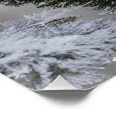 赤い(鳥)ショウジョウコウカンチョウの鳥の天使は近くの光沢のあるポスター ポスター (コーナー)