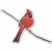 赤い(鳥)ショウジョウコウカンチョウの鳥の枝のステッカーに座る シール (正面)