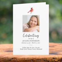 赤い（鳥）ショウジョウコウカンチョウの鳥葬儀写真順番