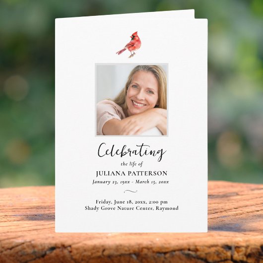 赤い（鳥）ショウジョウコウカンチョウの鳥葬儀写真順番 プログラム