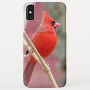 赤い（鳥）ショウジョウコウカンチョウのiPhoneケース iPhone XS Maxケース