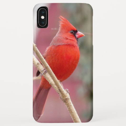 赤い(鳥)ショウジョウコウカンチョウのiPhoneケース Case-Mate iPhoneケース (裏面)