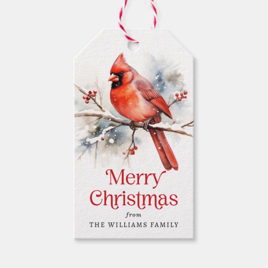 赤い（鳥）ショウジョウコウカンチョウオン冬の分岐水色 ギフトタグ (正面)
