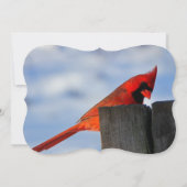 赤い（鳥）ショウジョウコウカンチョウオン木製の切り株のクリスマスパーティー 招待状 (裏面)