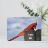 赤い(鳥)ショウジョウコウカンチョウオン木製スタンプありがとう サンキューカード (スタンド正面)