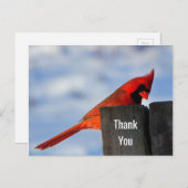 赤い（鳥）ショウジョウコウカンチョウオン木製スタンプありがとう ポストカード (正面/裏面)