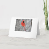 赤い（鳥）ショウジョウコウカンチョウプロファイルカード シーズンカード (裏面)