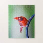 赤い(鳥)ショウジョウコウカンチョウ写真(式おもしろい付) ジグソーパズル (縦)