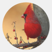 赤い（鳥）ショウジョウコウカンチョウ封筒用シールシール ラウンドシール (正面)