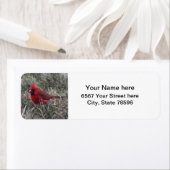 赤い（鳥）ショウジョウコウカンチョウ差出人住所ラベル ラベル (インサイチュ)