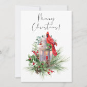 赤い(鳥)ショウジョウコウカンチョウ鳥の水色の冬のクリスマス シーズンカード (正面)