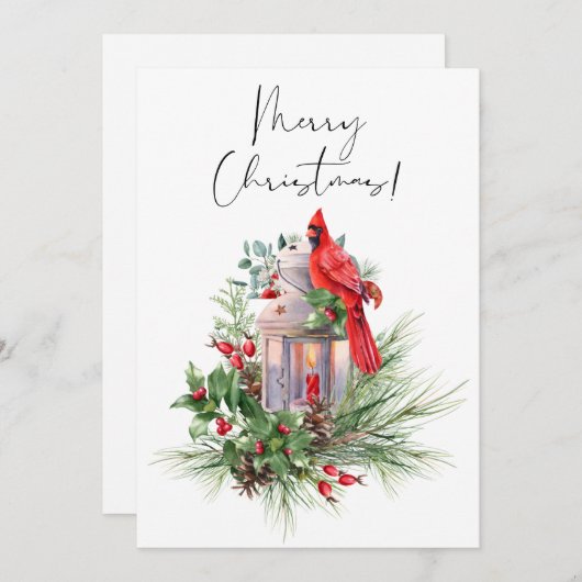 赤い(鳥)ショウジョウコウカンチョウ鳥の水色の冬のクリスマス シーズンカード (正面/裏面)