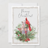 赤い（鳥）ショウジョウコウカンチョウ鳥の水色の冬のクリスマス シーズンカード (正面)