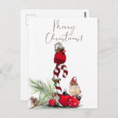 赤い(鳥)ショウジョウコウカンチョウ鳥の水色の冬のクリスマス ポストカード (正面/裏面)