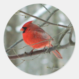 赤い(鳥)ショウジョウコウカンチョウ(オス)シール ラウンドシール