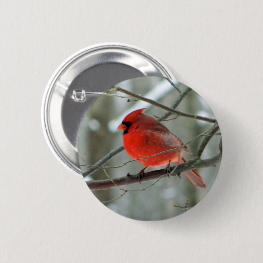 赤い(鳥)ショウジョウコウカンチョウ(オス)野生動物ボタン 缶バッジ (正面&裏面)