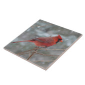 赤い（鳥）ショウジョウコウカンチョウ タイル (側面)