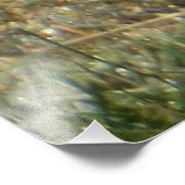 赤い(鳥)ショウジョウコウカンチョウ フォトプリント (角)