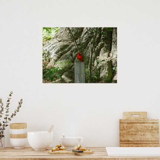 赤い(鳥)ショウジョウコウカンチョウ ポスター (キッチン)
