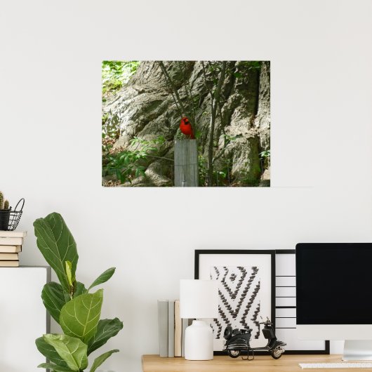 赤い(鳥)ショウジョウコウカンチョウ ポスター (ホームオフィス)