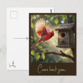 "赤い（鳥）ショウジョウコウカンチョウ" ポストカード (正面/裏面)