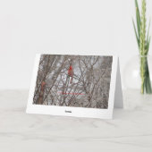 赤い(鳥)ショウジョウコウカンチョウ、誕生日レットイット輝き カード (裏面)