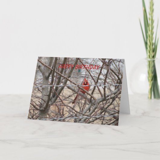 赤い(鳥)ショウジョウコウカンチョウ、誕生日レットイット輝き カード (正面)