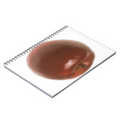 赤いApple ノートブック (左側)