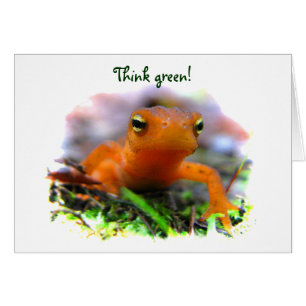 赤いEftのアースデー