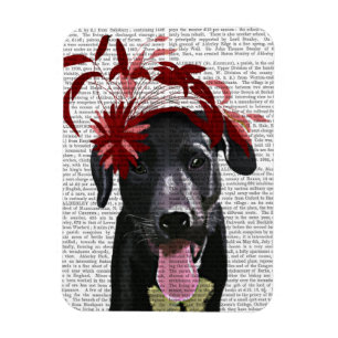 赤いFascinatorの黒いラブラドール マグネット