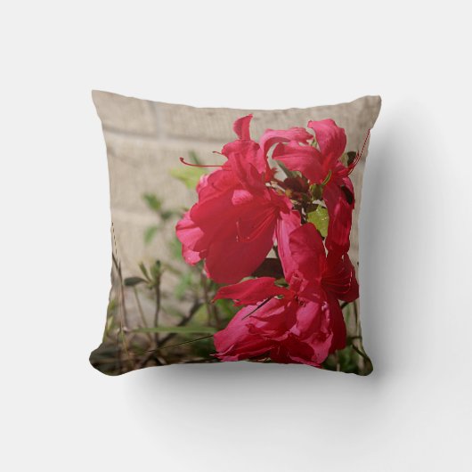 赤いGladiolasの春の花の装飾用クッション クッション (正面)
