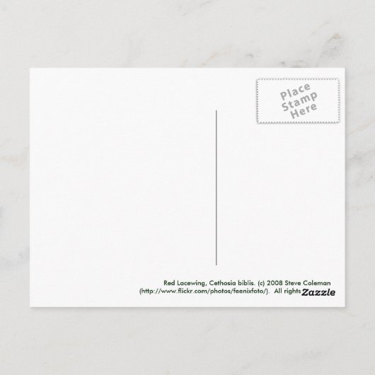赤いLacewing ポストカード (裏面)