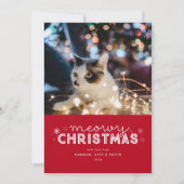 赤いMeowyクリスマスの写真 シーズンカード (正面)