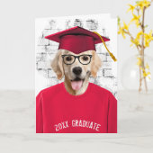 赤いtシャツの卒業式ゴールデンレトリバー カード (黄色い花)