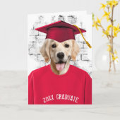 赤いtシャツの卒業式ゴールデンレトリバー カード (黄色い花)