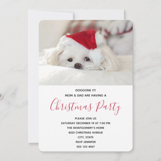 赤おもしろいいクリスマスハットのパーティーに白い犬 招待状 (正面)
