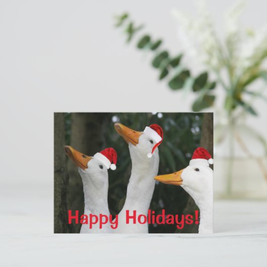 赤おもしろいサンタ帽をかぶった白アヒル シーズンポストカード (スタンド正面)