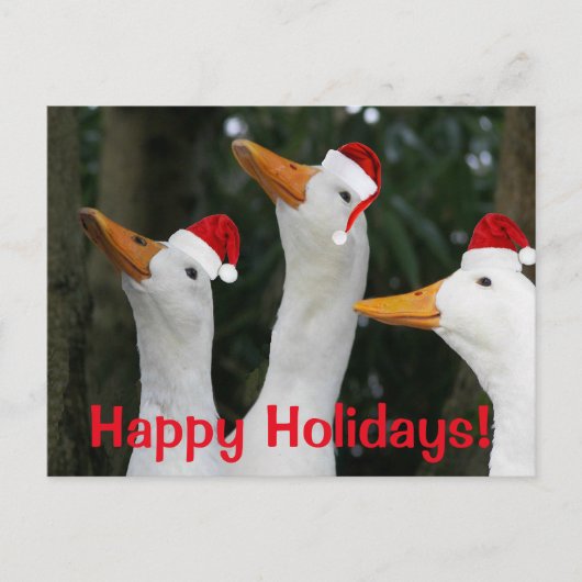 赤おもしろいサンタ帽をかぶった白アヒル シーズンポストカード (正面)