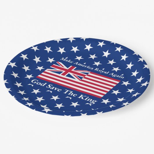 赤おもしろい青メイクアメリ王室のカ国旗 ペーパープレート (アングル)