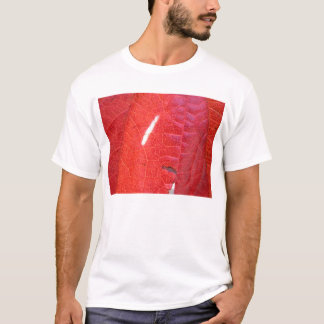 赤および緑 Tシャツ