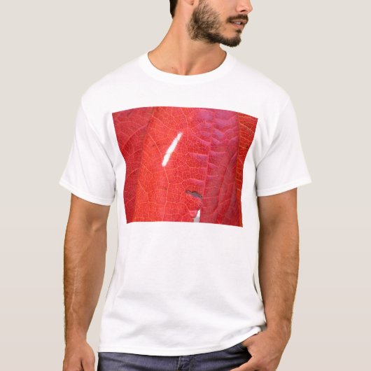 赤および緑 Tシャツ (正面)