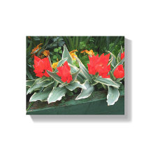 赤かわいらしチューリップカラフル明るいスタイリッシュフローラ