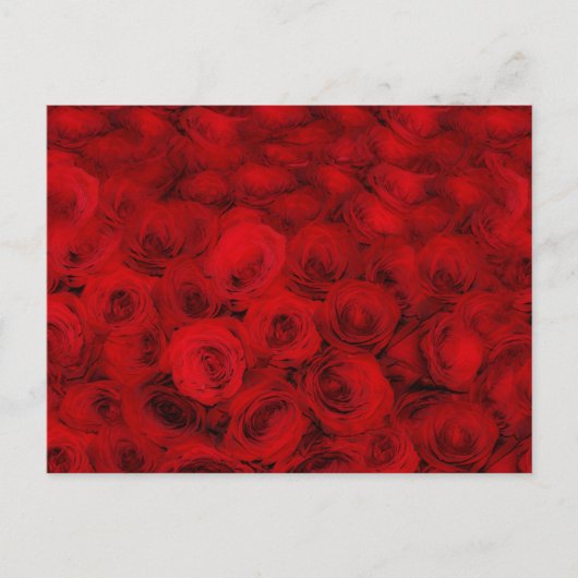 赤かわいらしバラ花フローラはがき ポストカード (正面)