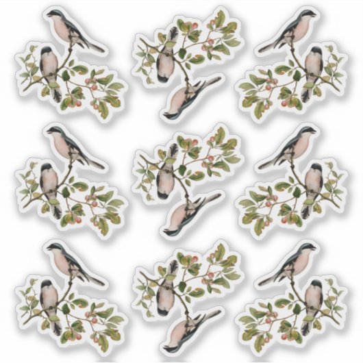 赤かわいらしヴィンテージの鳥 シール (正面)
