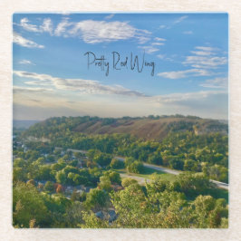 赤かわいらし翼ガラスコースター ガラスコースター